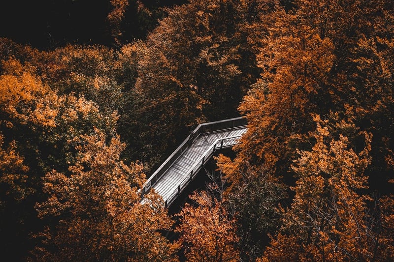 Nature mindfulness